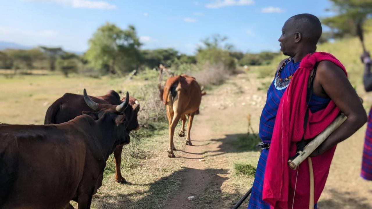 Leruk Maasai Mara Camp Hotel Sekenani Ngoại thất bức ảnh